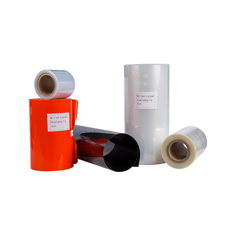7-11 لایه فیلم ترموفرمینگ مانع عمومی PA/PE 7-11 لایه فیلم ترموفرمینگ مانع عمومی PA/PE