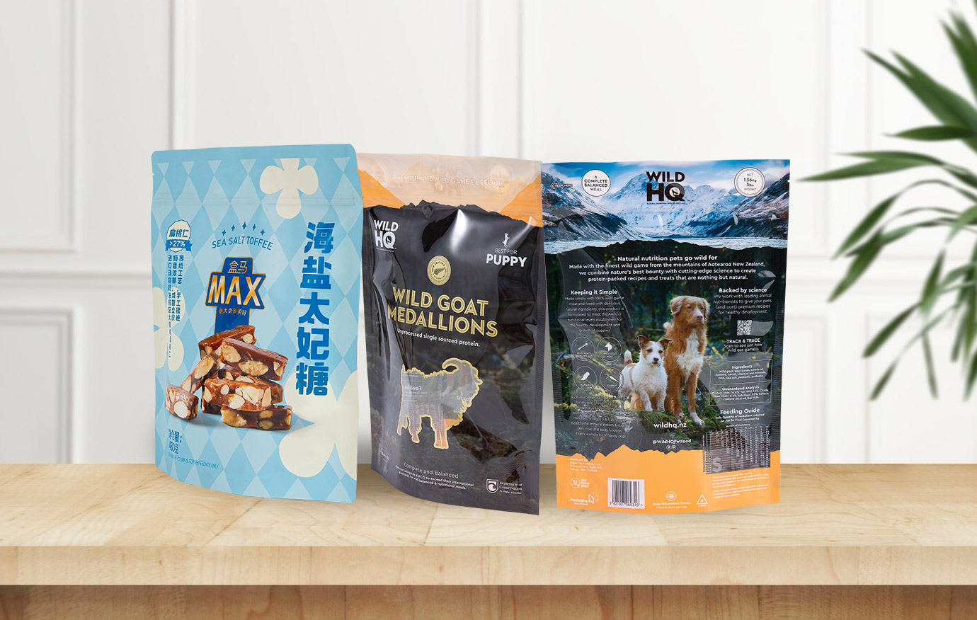 کیسه ایستاده