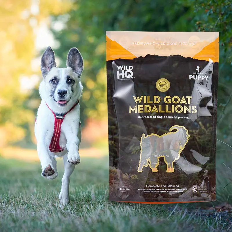 کیسه کیسه ای ایستاده 1 تا 5 کیلوگرمی برای درمان سگ